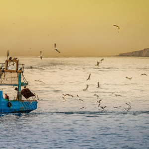 Lezioni di Pesca in Mare