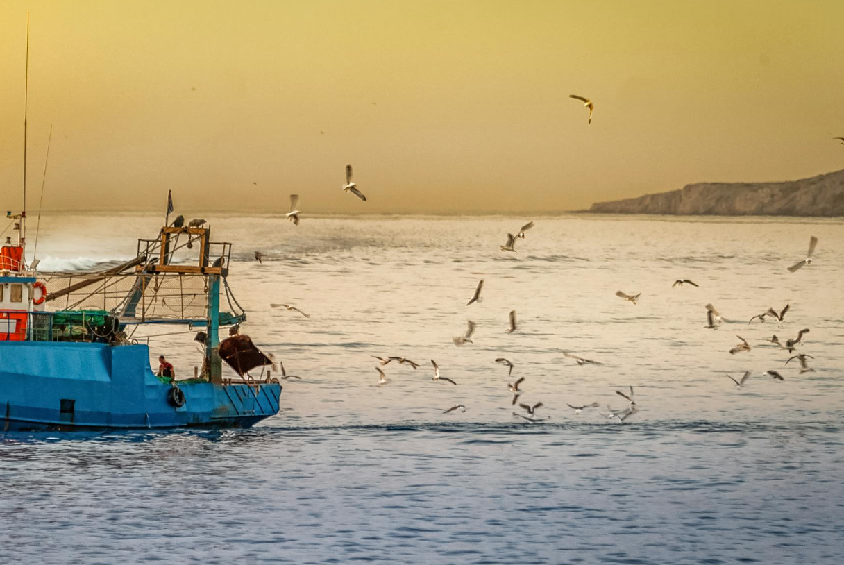 Lezioni di Pesca in Mare